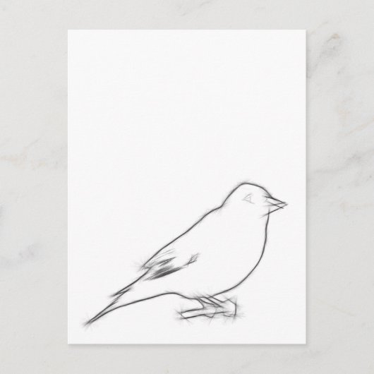 Finch-Sketch Postkarte (Vorderseite)