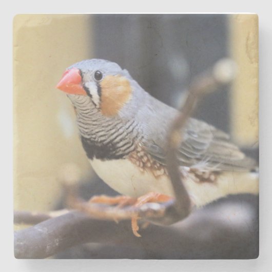 Finch Steinuntersetzer (Vorderseite)