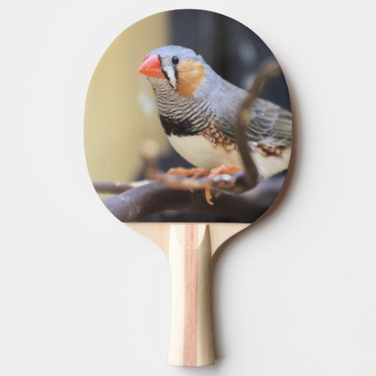 Finch Tischtennis Schläger (Vorderseite)
