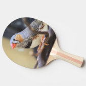 Finch Tischtennis Schläger (Seitenansicht)