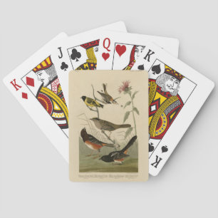 Finch, Towhere, Sparrow, Audubons Vögel von Amerik Spielkarten