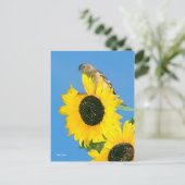 Finch und Blume Postkarte (Stehend Vorderseite)