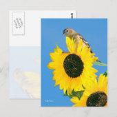 Finch und Blume Postkarte (Vorne/Hinten)