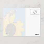 Finch und Blume Postkarte (Rückseite)