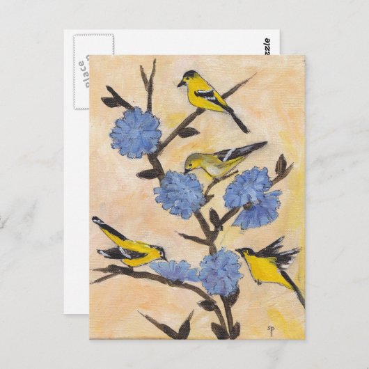 Finches in Chicorée Postkarte (Vorne/Hinten)