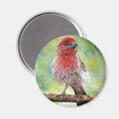 Finchy Magnet (Vorderseite/Rückseite)