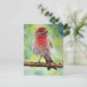 Finchy Postkarte (Stehend Vorderseite)