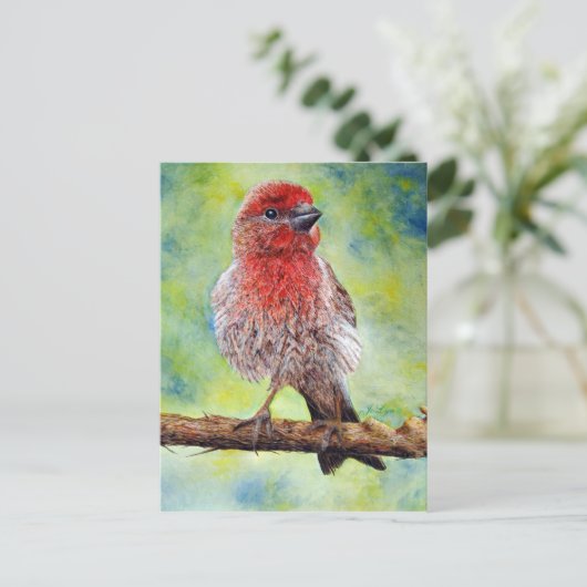 Finchy Postkarte (Stehend Vorderseite)