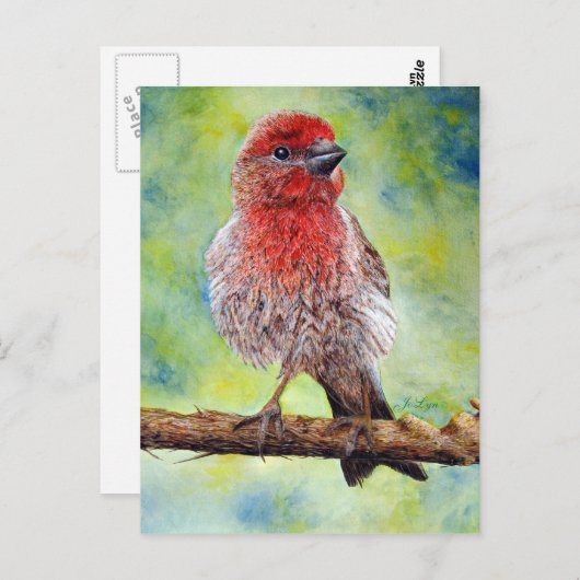 Finchy Postkarte (Vorne/Hinten)