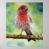 Finchy Print Poster (Vorne)