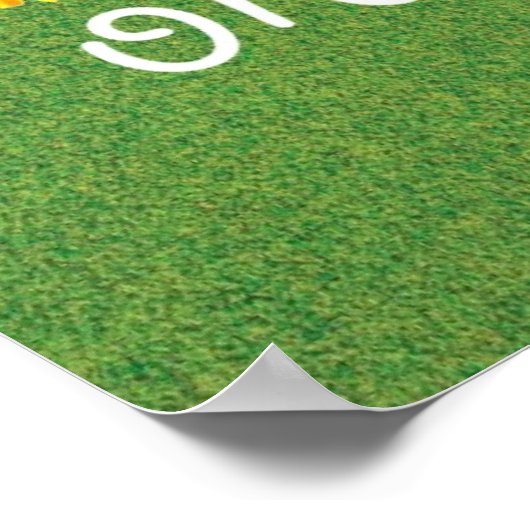 Find Joy in the Ordinary Inspirational Poster (Ecke)