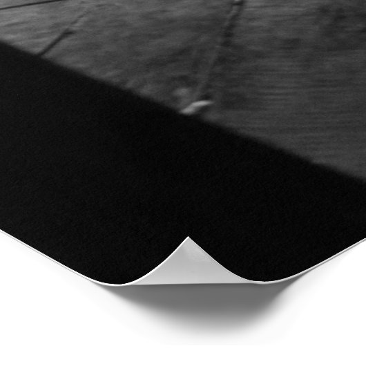 Find the Cat! Poster (Ecke)