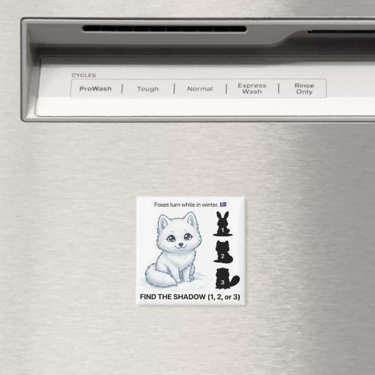 Find the Shadow – Arctic Fox Learning Magnet (In Situ (Geschirrspüler))