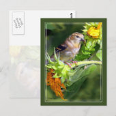 Finde auf Sonnenblumen Postkarte (Vorne/Hinten)