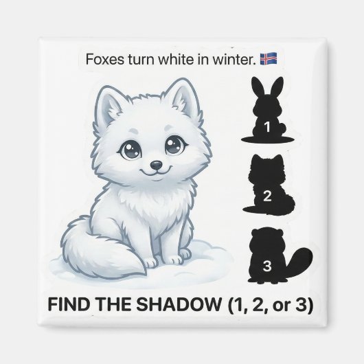 Finde den Schatten – Arktischer Fuchs Lernmagnet Magnet (Vorne)