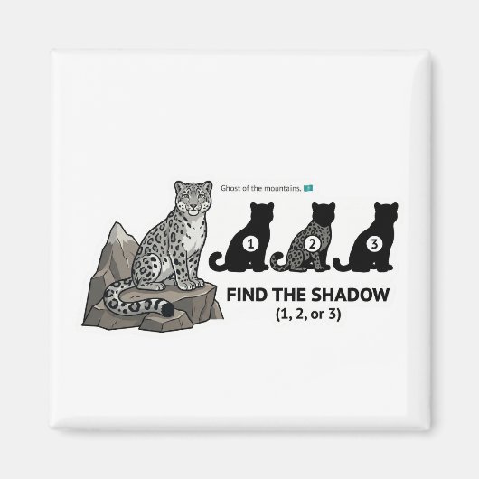 Finde den Schatten: Schneeleopard Kasachstan Tier Magnet (Vorne)
