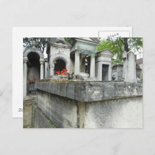 Finde eine Katze! Postkarte (Vorne/Hinten)