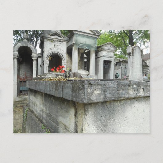 Finde eine Katze! Postkarte (Vorderseite)