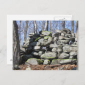 Finden Sie den Keramikstein der Schildkröten Postkarte (Vorne/Hinten)