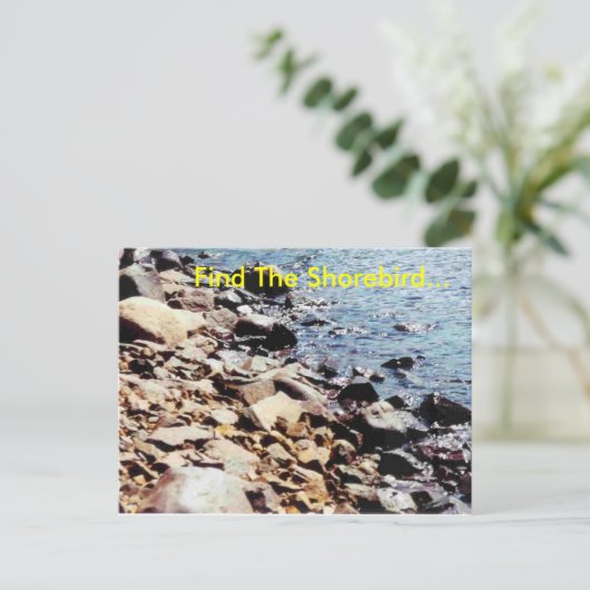 Finden Sie den Shorebird.. Postkarte (Stehend Vorderseite)