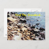 Finden Sie den Shorebird.. Postkarte (Vorne/Hinten)