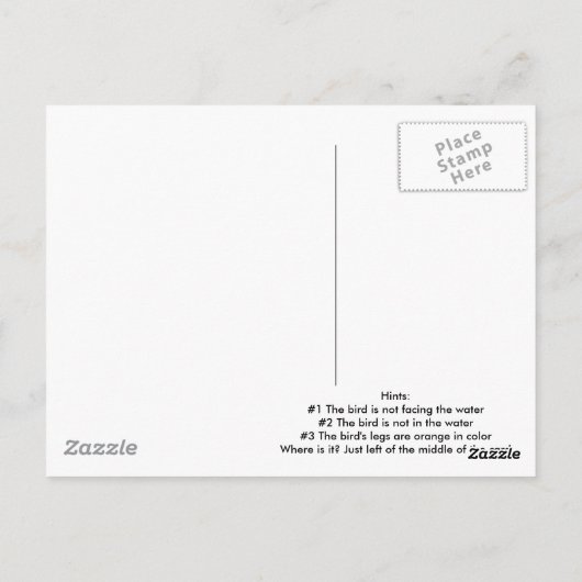 Finden Sie den Shorebird.. Postkarte (Rückseite)