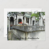 Finden Sie eine Katze! (Text) Postkarte (Vorne/Hinten)