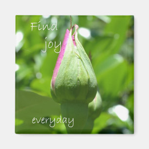 Finden Sie Freude täglich Magnet