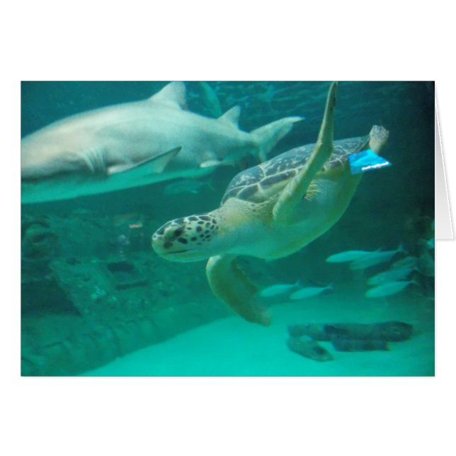 Finden Sie Ihre süße Stelle (Vorderseite (Horizontal))