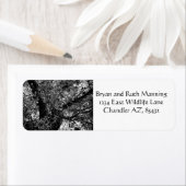 Finden Sie mich in den Bäumen (Insitu)