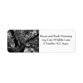 Finden Sie mich in den Bäumen