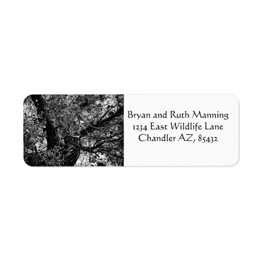 Finden Sie mich in den Bäumen (Vorne)