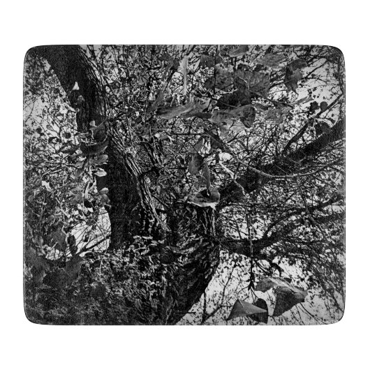 Finden Sie mich in den Bäumen Schneidebrett (Vorderseite)