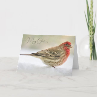 Finden Weihnachten wünscht Weihnachtskarte Dankeskarte