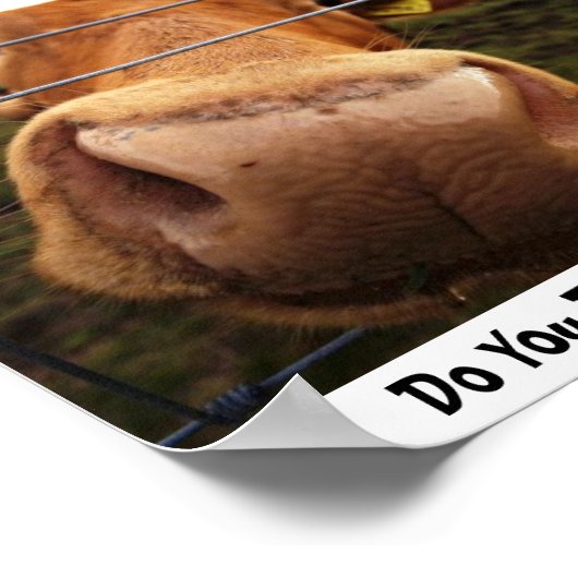 Findest du mich a'MOO'zing? Poster (Ecke)