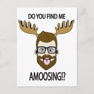 Findest du mir was zu essen? postkarte