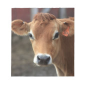 Findest du nicht, dass ich Hübsch Jersey Cow bin? Notizblock (Vorderseite)