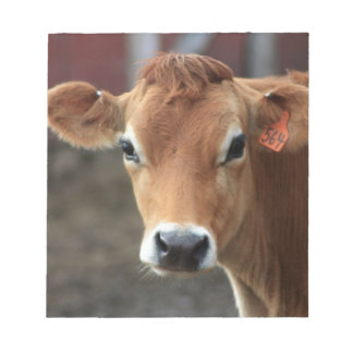 Findest du nicht, dass ich Hübsch Jersey Cow bin? Notizblock