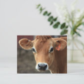 Findest du nicht, dass ich Hübsch Jersey Cow bin? Postkarte (Stehend Vorderseite)