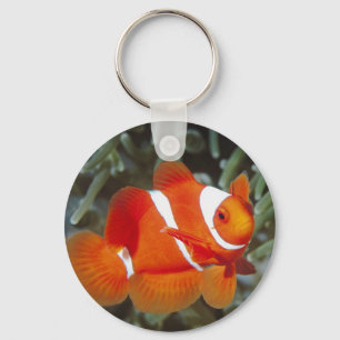 Findet Nemo Schlüsselanhänger