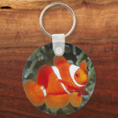 Findet Nemo Schlüsselanhänger (Vorderseite)