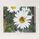 Finding Nectar Puzzle (Horizontal)