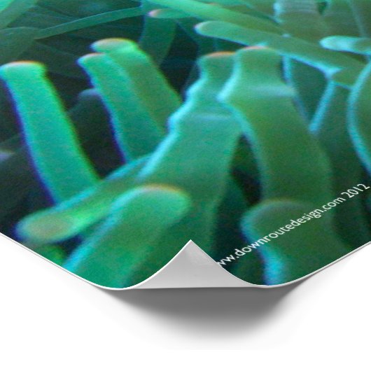 Finding Nemo Poster (Ecke)