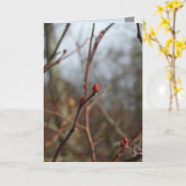 Finding Promise Karte (Gelbe Blume)