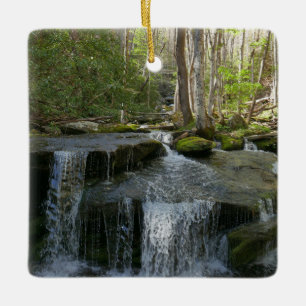 Findlay Falls I Keramikornament