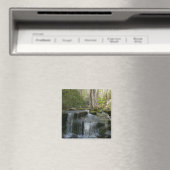 Findlay Falls I Magnet (In Situ (Geschirrspüler))