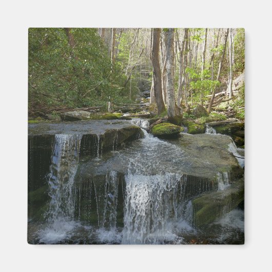 Findlay Falls I Magnet (Vorne)