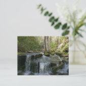 Findlay Falls I Postkarte (Stehend Vorderseite)