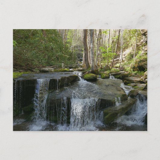 Findlay Falls I Postkarte (Vorderseite)