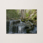 Findlay Falls I Puzzle (Horizontal)